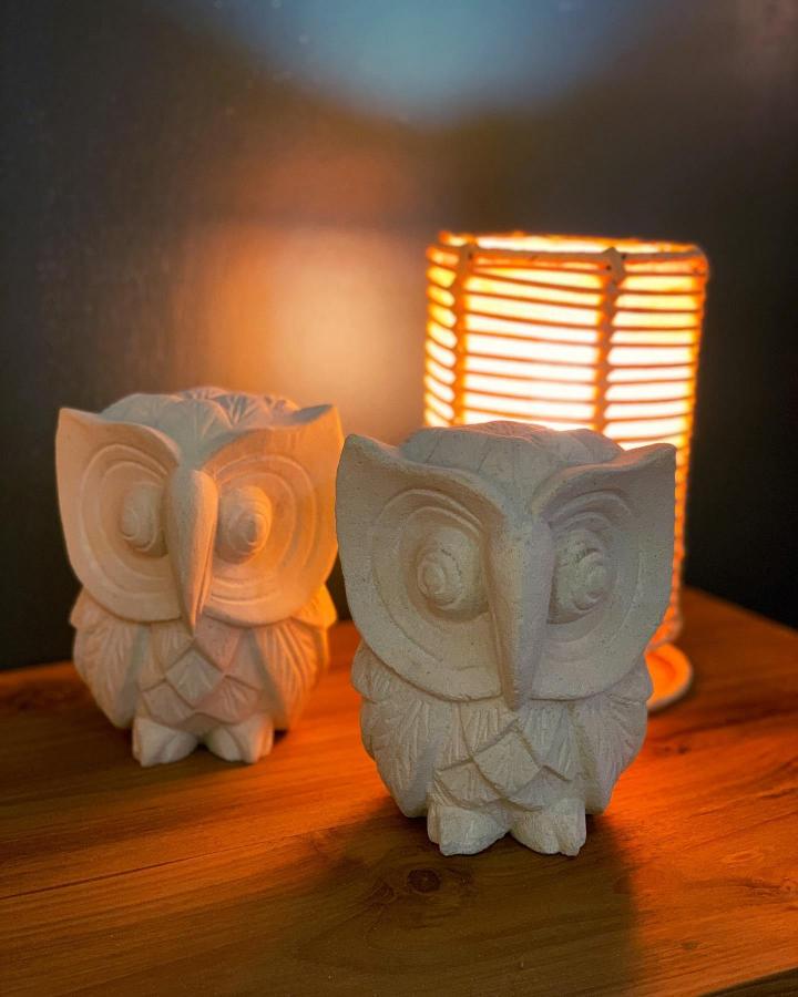 Vente de luminaire, Le Moule