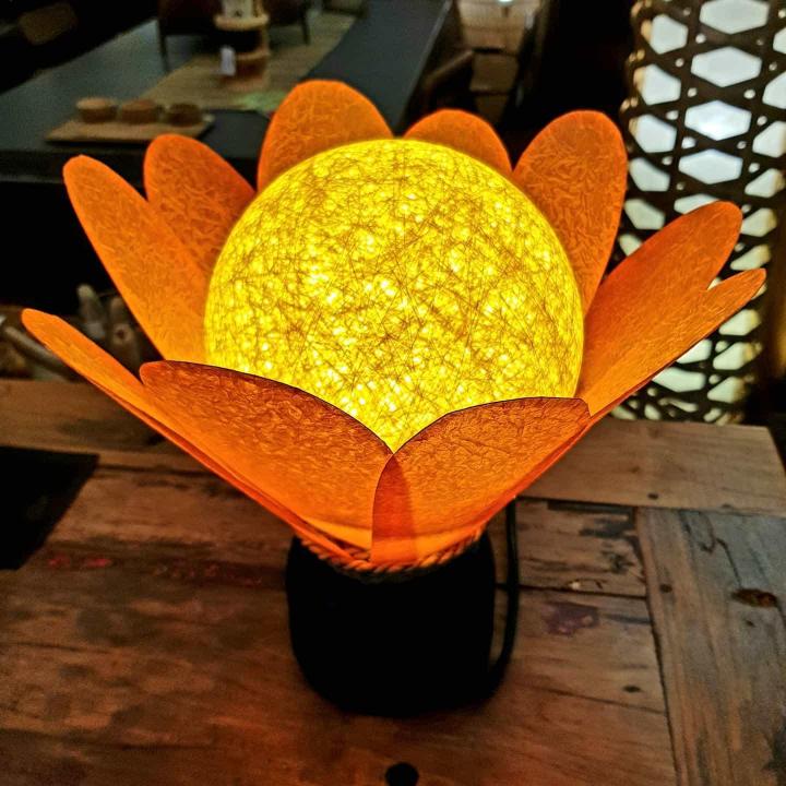 Vente de luminaire, Les Abymes